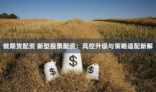 做期货配资 新型股票配资：风控升级与策略适配新解