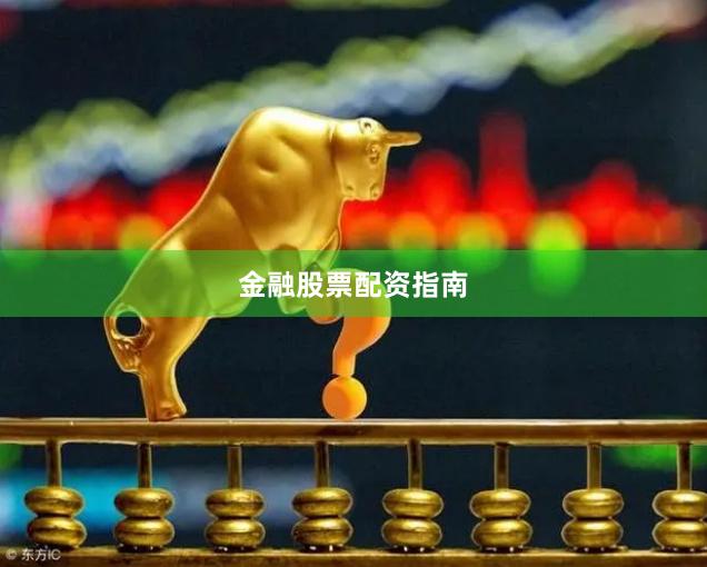 金融股票配资指南