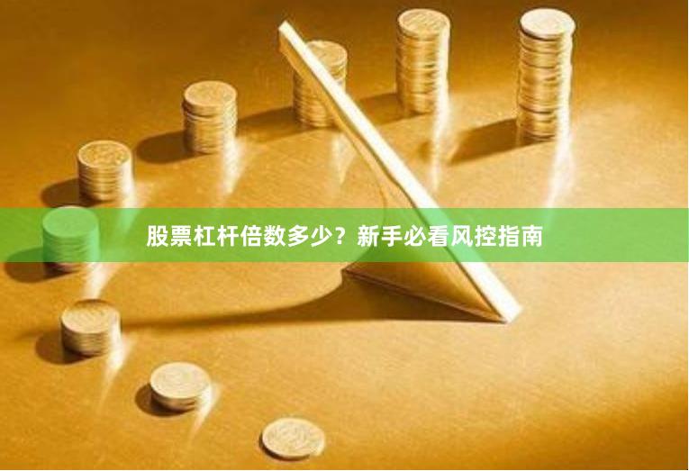 股票杠杆倍数多少？新手必看风控指南