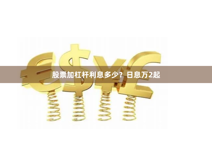 股票加杠杆利息多少？日息万2起